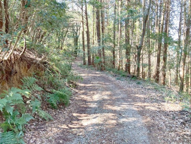 太宰府市大字北谷　土地の前面道路含む現地写真|二方向（北・南）の私道に接道する立地です！