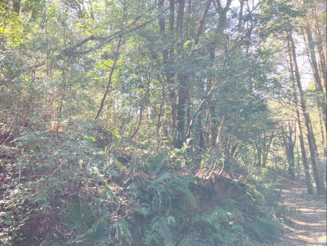 太宰府市大字北谷　土地の外観|自然の風景が広がる環境！