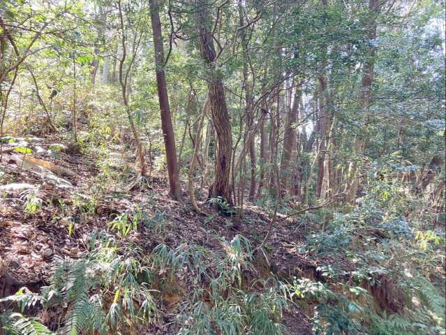 太宰府市大字北谷　土地の外観|現況渡しです！