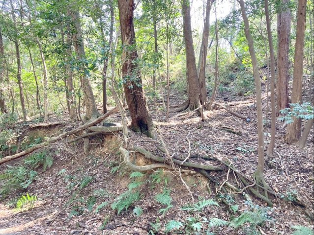 太宰府市大字北谷　土地の外観|地目：原野