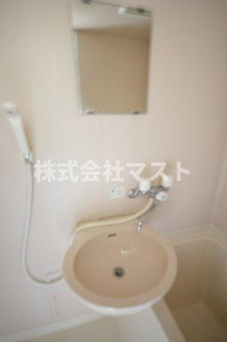 ルミナス難波の洗面所