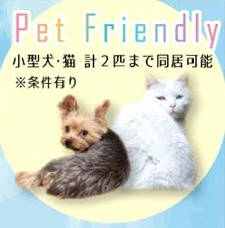 イーセ・ビアン灘の設備