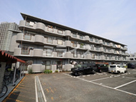 アンセスター91の画像