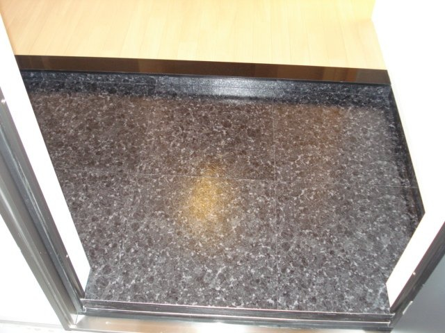 エクセルハイムの玄関|玄関