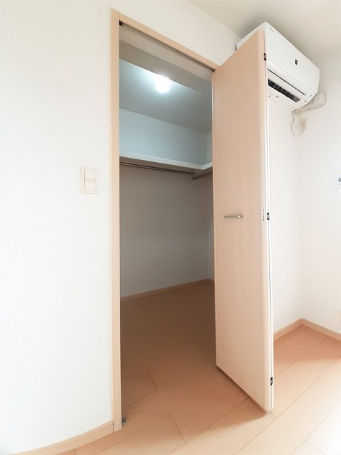 コスモスのその他