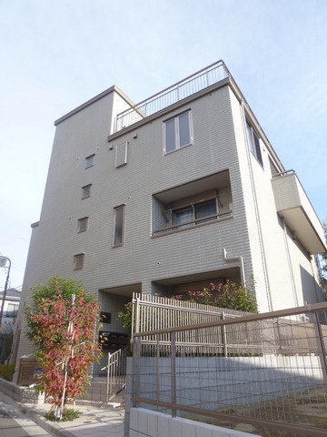 Ｂｏａ　Ｓｏｒｔｅ