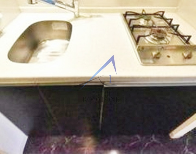 ＥＬ　ＶＩＥＮＴ　ＥＡＲＴＨ　ＳＵＭＩＤＡーＡＺＵＭＡのキッチン|キッチンです。