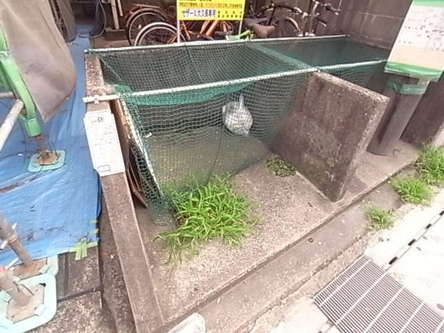 【その他共用部分】 | セザール大久保