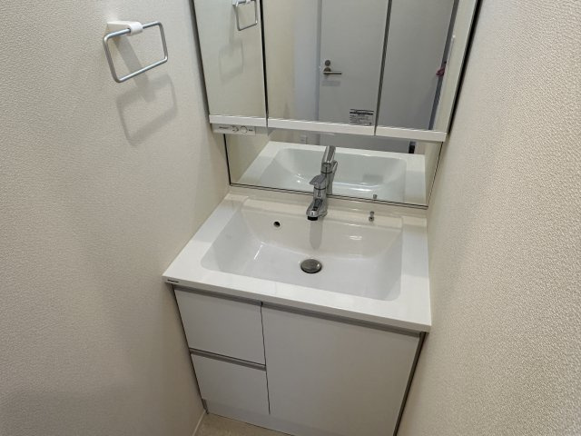 ヘーベルメゾン大和町の洗面所