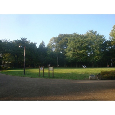 【周辺】 | ダイホープラザ井荻 | 公園「井草三丁目緑地まで684ｍ」
