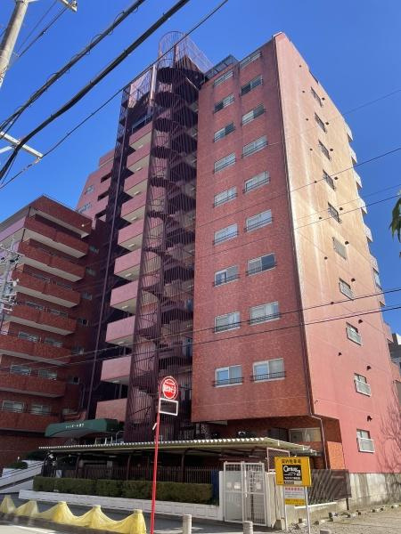 シャンボール康生のその他