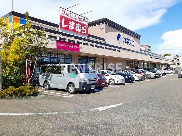 セリーヌのその他|その他