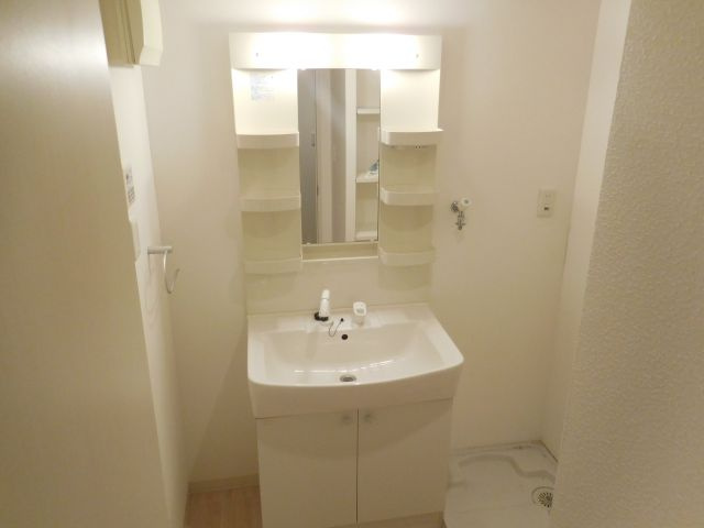 カーサグランデの洗面所