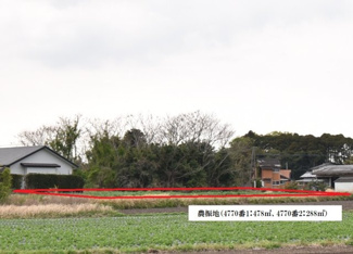 【外観】 | 志布志市志布志町帖　売地(全3筆) | 農振地(4770番1･4770番2)