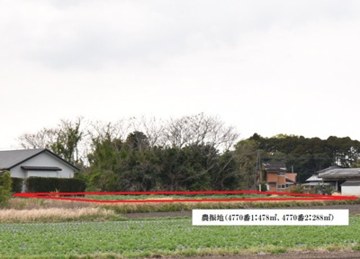 【外観】 | 志布志市志布志町帖　売地(全3筆) | 農振地(4770番1･4770番2)