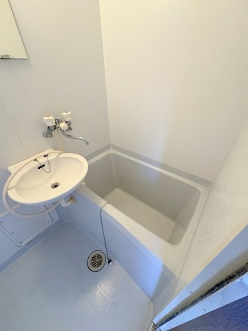 ヴェガハイムの浴室