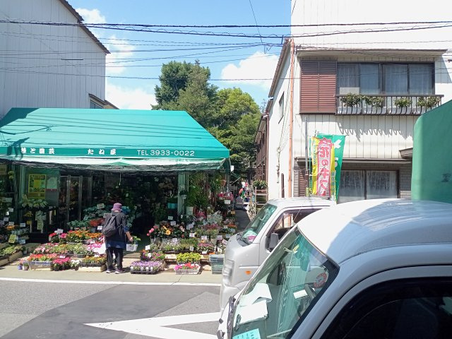 Maison エル・ランドレアの展望