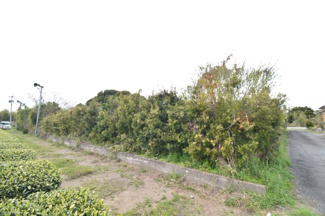 【外観】 | 志布志市志布志町安楽　売地