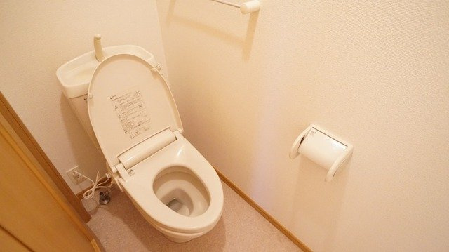 メロウヒルズ　Ｂのトイレ|トイレもきれいです