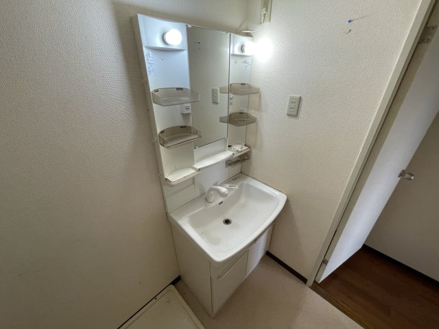 ラヴェニュー相模原の洗面所