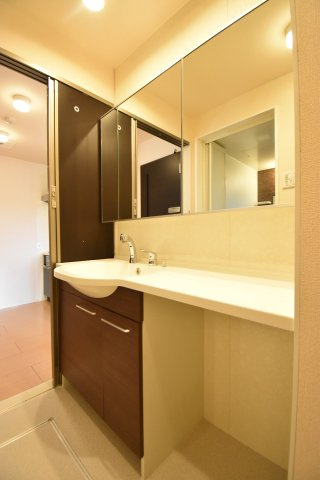 セジュール照ヶ丘の洗面所