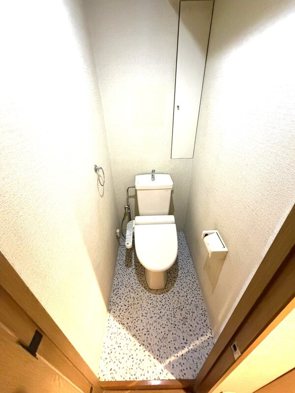 グリーンコーポ鶴川のトイレ