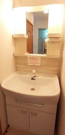 パレス・ニュールミネⅡ　Ａの洗面所