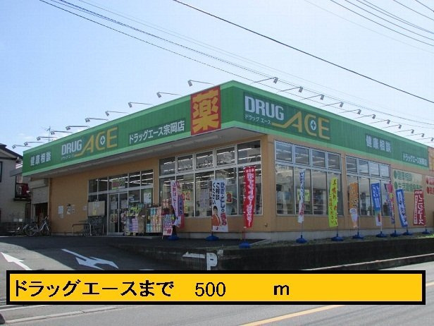 メゾンサニーの周辺|ドラッグエースまで500m