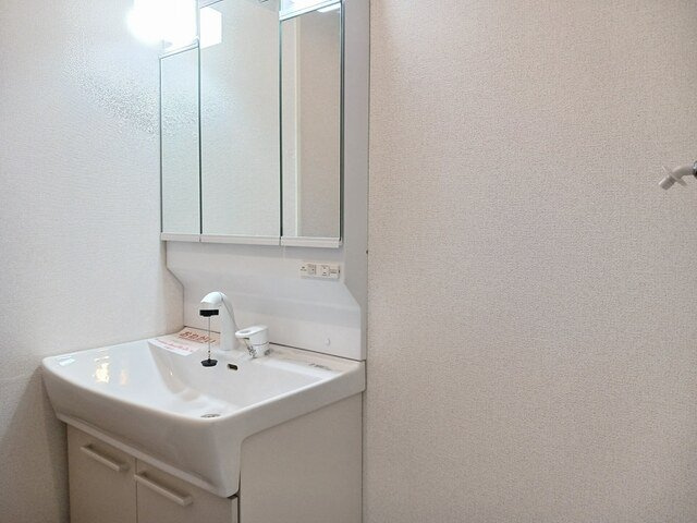 メゾンサニーの洗面所