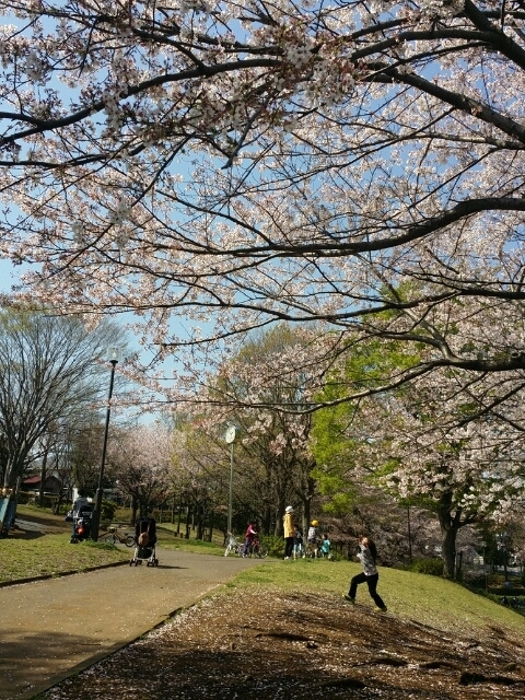 クレサンテームのその他|千津ふれあい公園