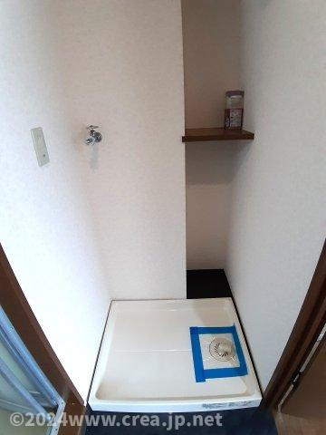 スカイビュウ11のその他