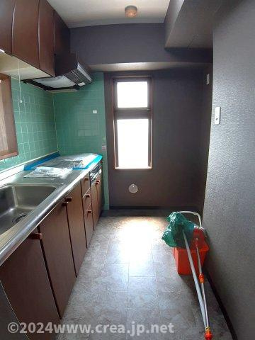 スカイビュウ11のその他