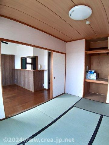 スカイビュウ11のその他