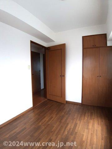 スカイビュウ11のその他