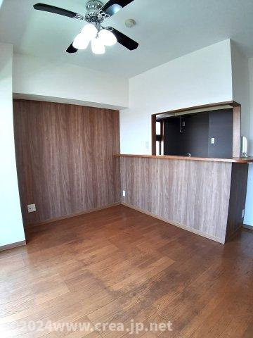 スカイビュウ11の内装