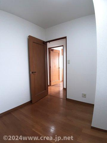 スカイビュウ11のその他