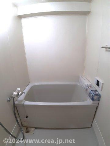 スカイビュウ11の浴室