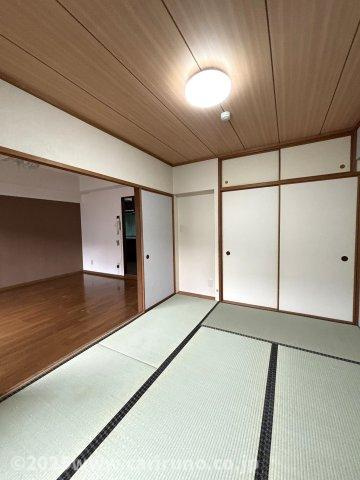 スカイビュウ11のその他