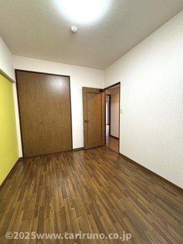 スカイビュウ11のその他