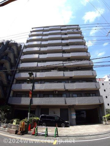 スカイビュウ11