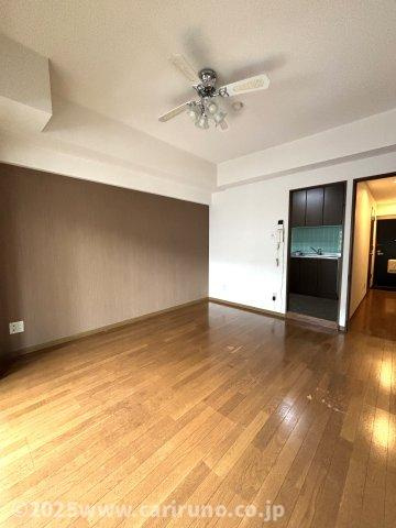 スカイビュウ11の内装