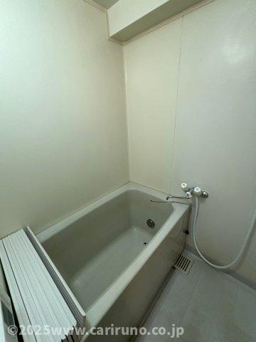 スカイビュウ11の浴室