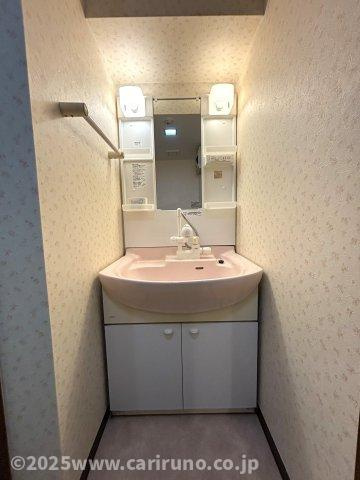 スカイビュウ11の独立洗面台