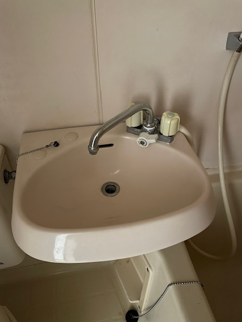 グリーンハイツの洗面所