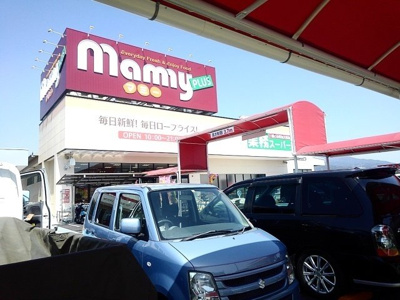 【周辺】 | エルディムドミール小林 | 業務スーパー　マミー広見店まで700m