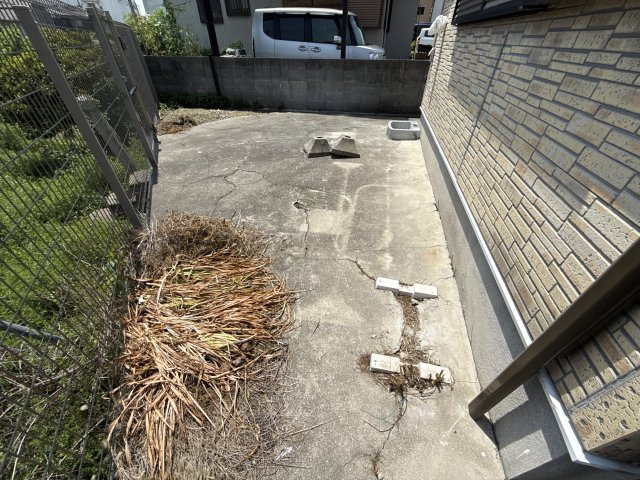 青山戸建の庭