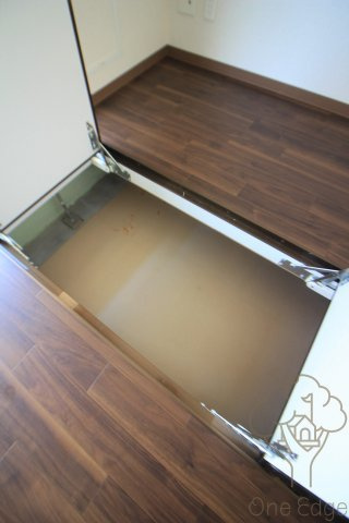 ルネサンスの収納