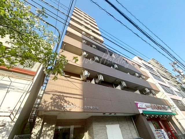 エスポアールカヤギヤ9の外観