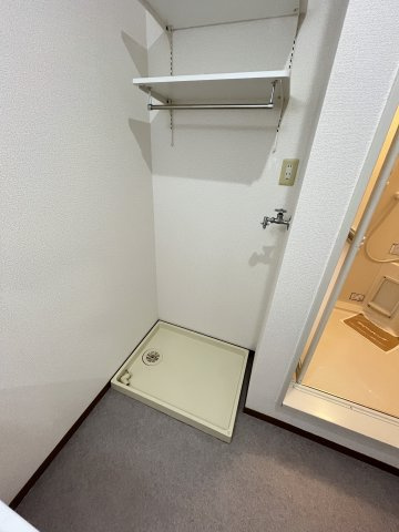 サン・ルミエールC棟の洗面所