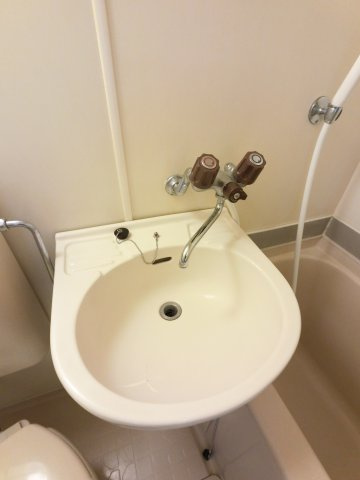 ハイデンス市川の洗面所